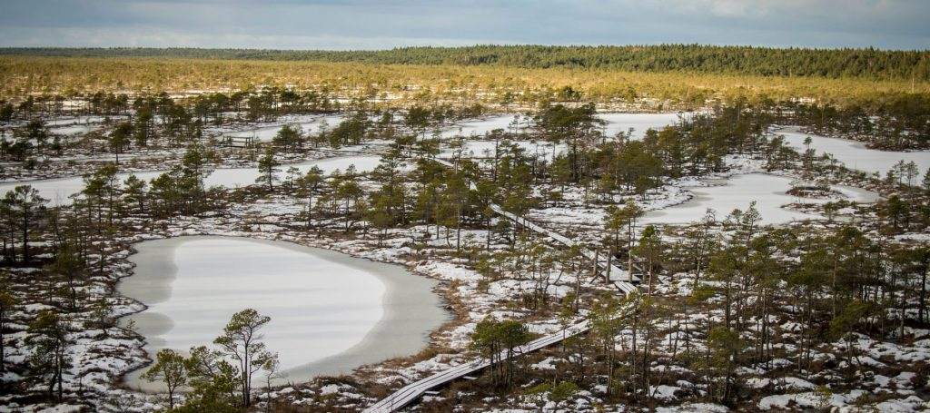 kemeri national park letland