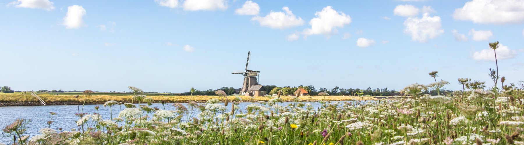 wat te doen op Texel bezienswaardigheden